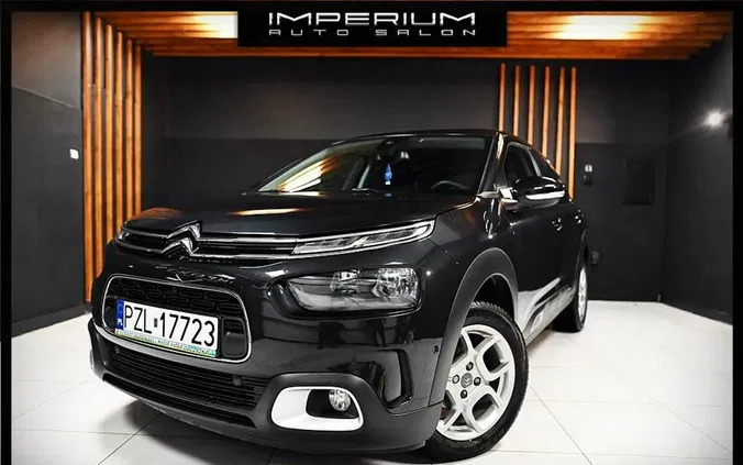 citroen Citroen C4 Cactus cena 59900 przebieg: 15000, rok produkcji 2021 z Tczew